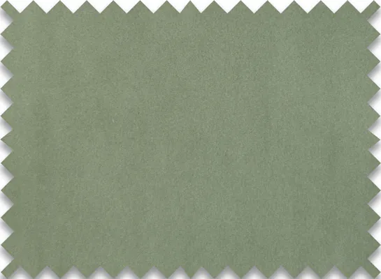 Royal Velvet sage green Royal Velvet sage green
