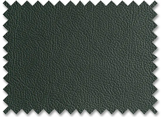 Birch Forest Green Birch Forest Green